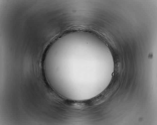 X0000102830508200808181052