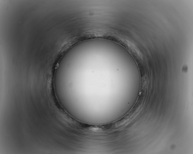 X0000102830509200808181052