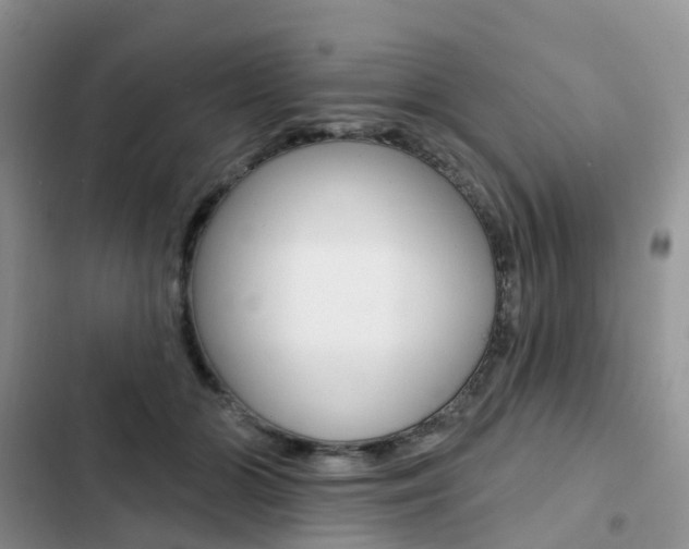 X0000102830510200808181052