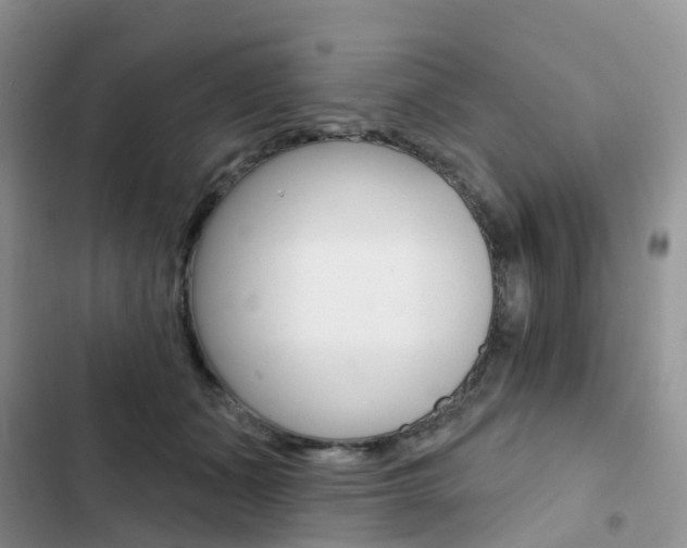 X0000102830511200808181052
