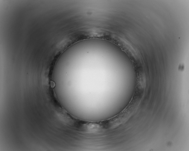 X0000102830512200808181052