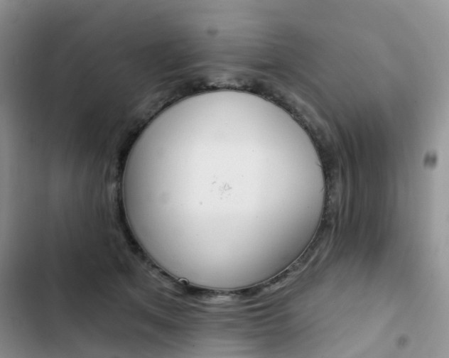 X0000102830513200808181052