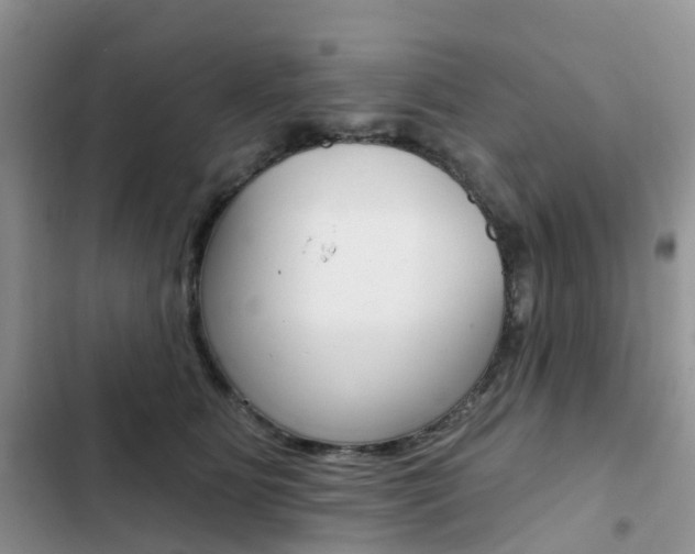 X0000102830515200808181052