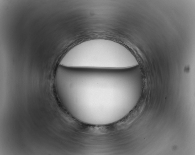 X0000102830517200808181052
