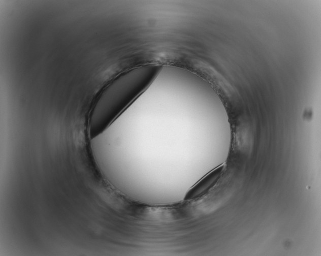 X0000102830520200808181052
