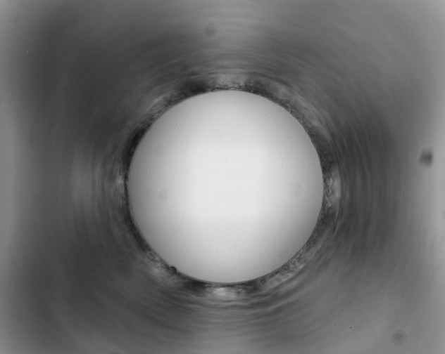 X0000102830522200808181052