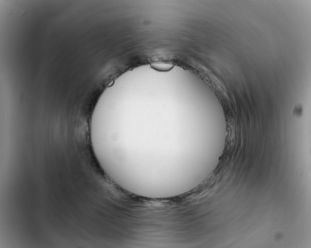 X0000102830523200808181052