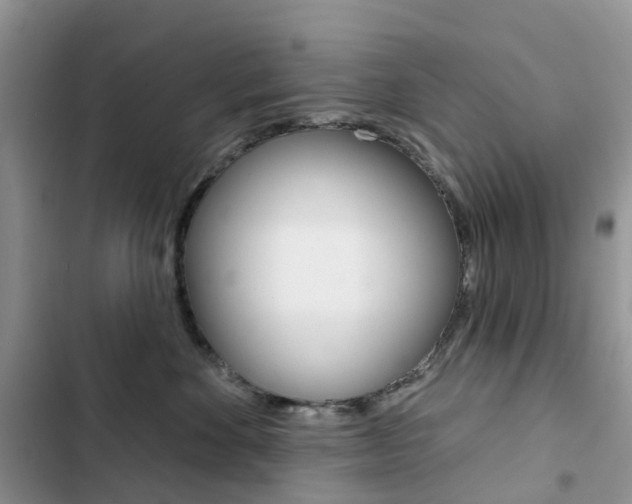 X0000102830524200808181052