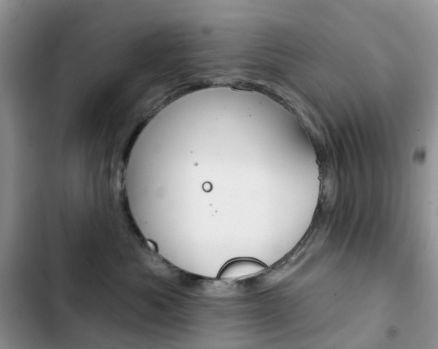 X0000102830525200808181052