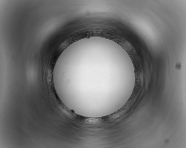 X0000102830526200808181052