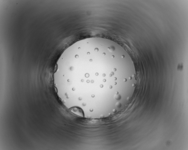 X0000102830527200808181052