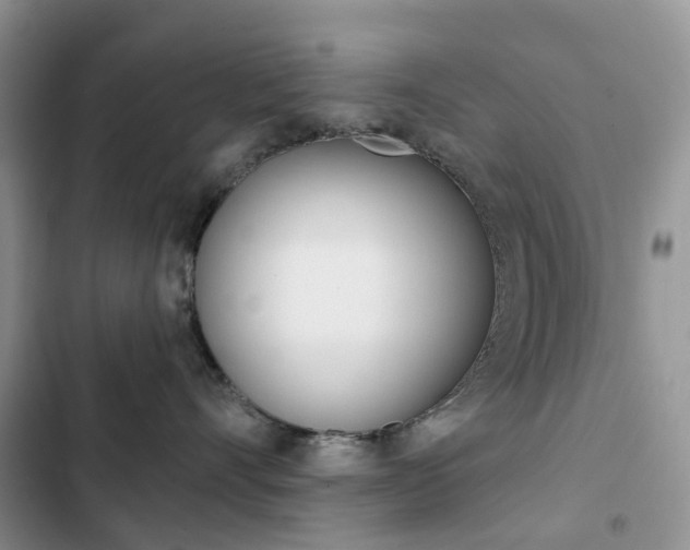 X0000102830528200808181051