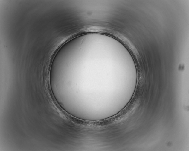 X0000102830529200808181051