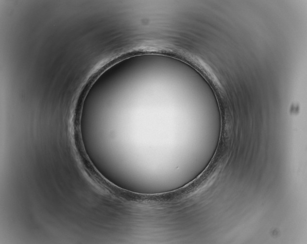 X0000102830530200808181051