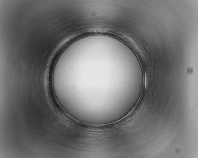 X0000102830531200808181051