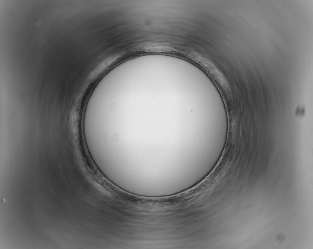 X0000102830533200808181051