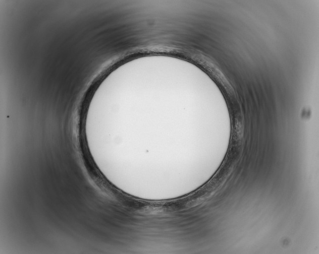 X0000102830534200808181051