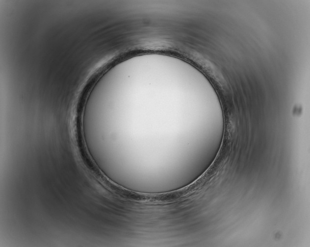 X0000102830535200808181051