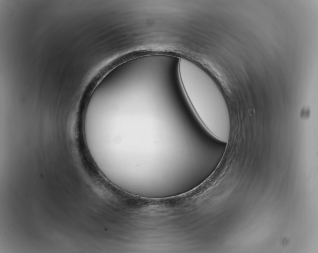 X0000102830536200808181051