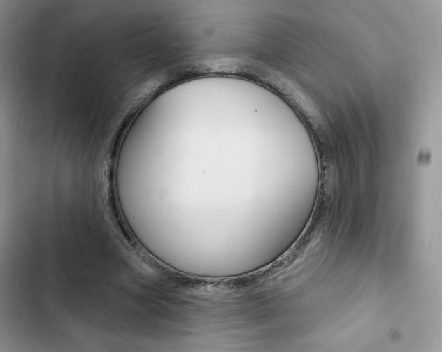 X0000102830537200808181051