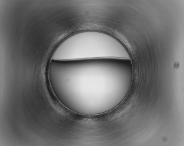 X0000102830538200808181051