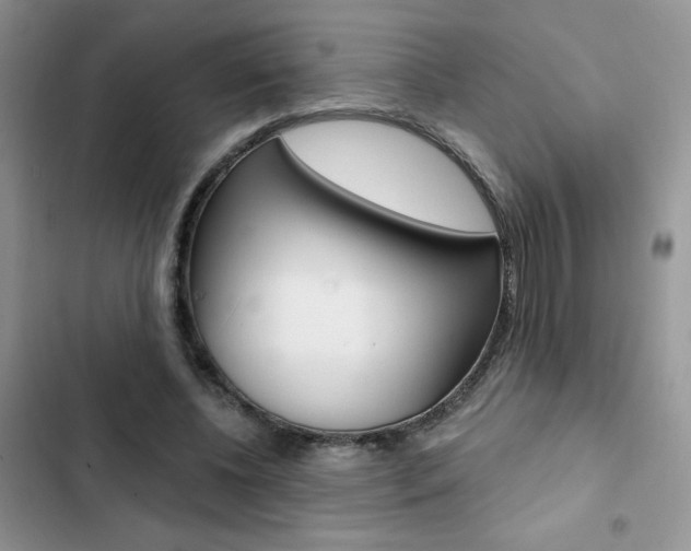 X0000102830540200808181051