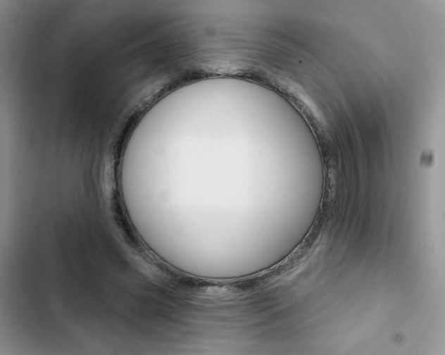 X0000102830541200808181051