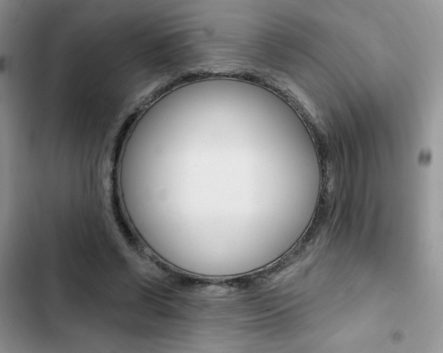 X0000102830542200808181051