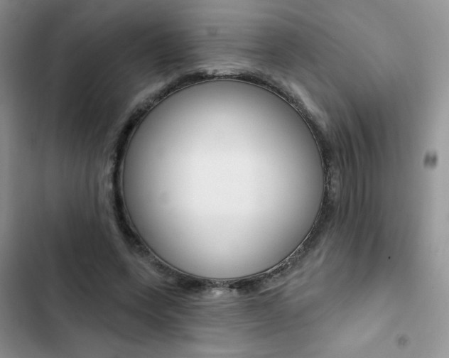 X0000102830543200808181051