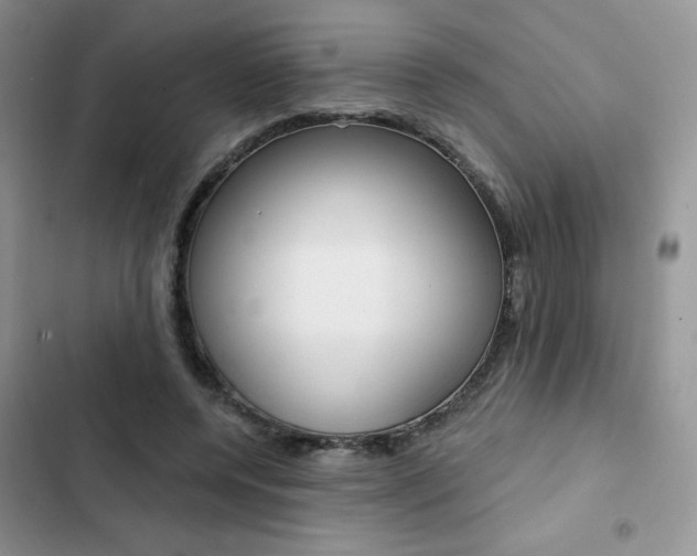 X0000102830544200808181051