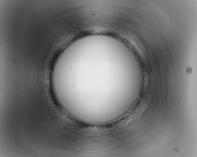 X0000102830545200808181051