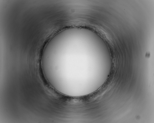 X0000102830546200808181051