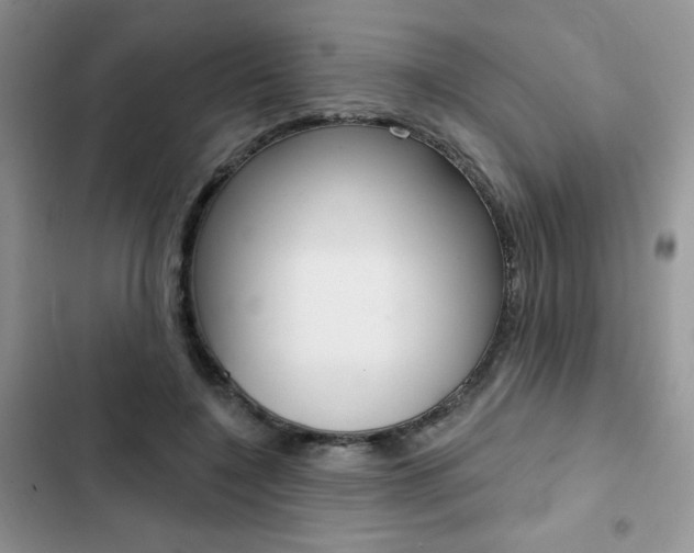 X0000102830548200808181051
