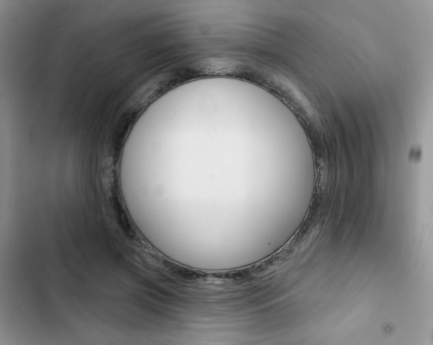 X0000102830549200808181051