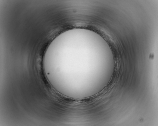 X0000102830550200808181051