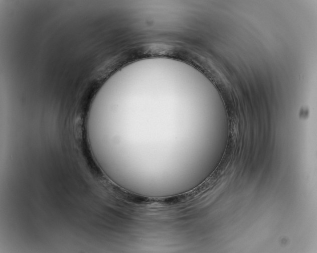 X0000102830551200808181051