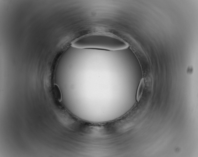 X0000102830552200808181051