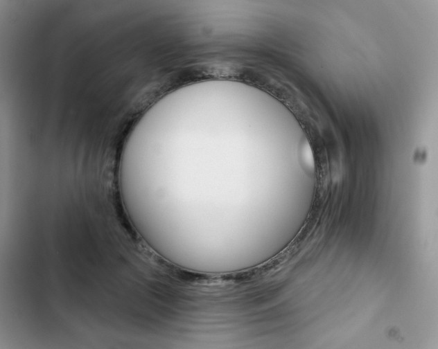 X0000102830553200808181051