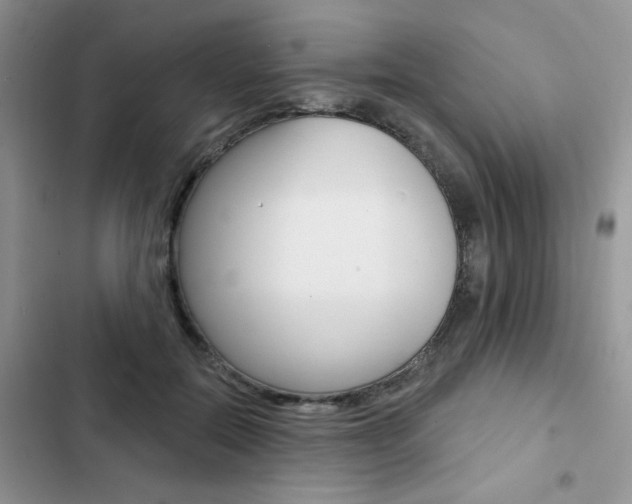 X0000102830554200808181051
