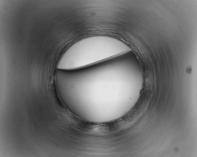 X0000102830555200808181051