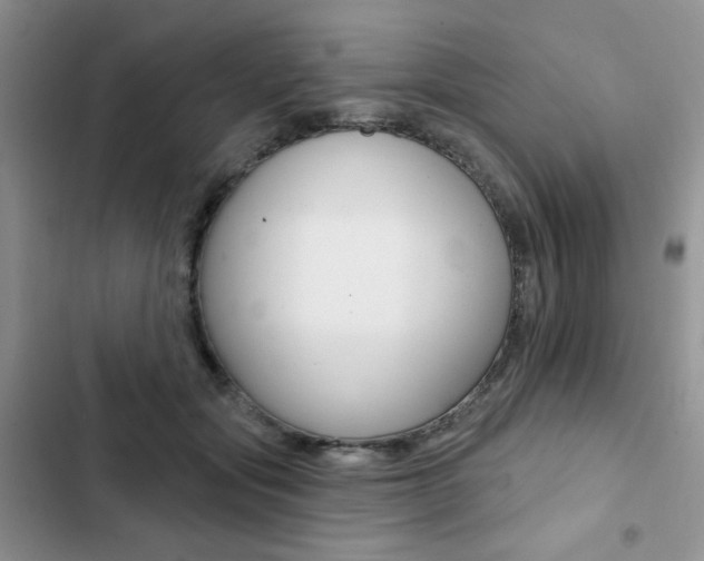 X0000102830557200808181051