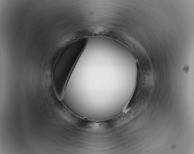 X0000102830558200808181051