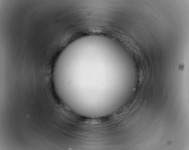 X0000102830559200808181051
