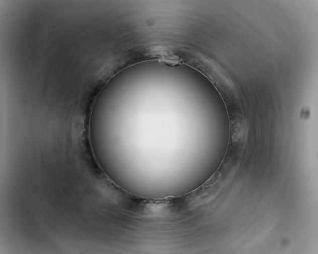 X0000102830560200808181051