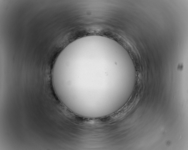 X0000102830561200808181051