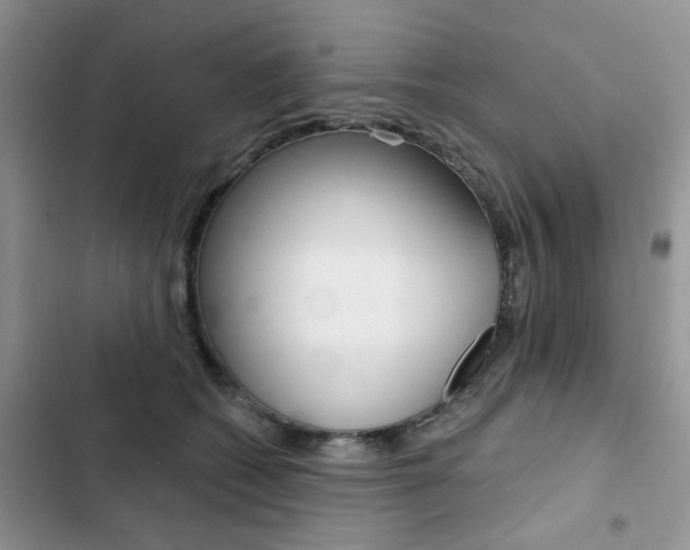 X0000102830562200808181051