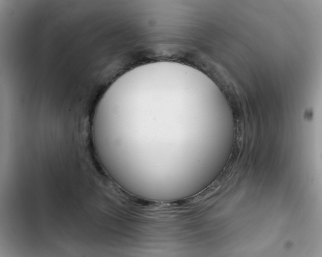 X0000102830563200808181051