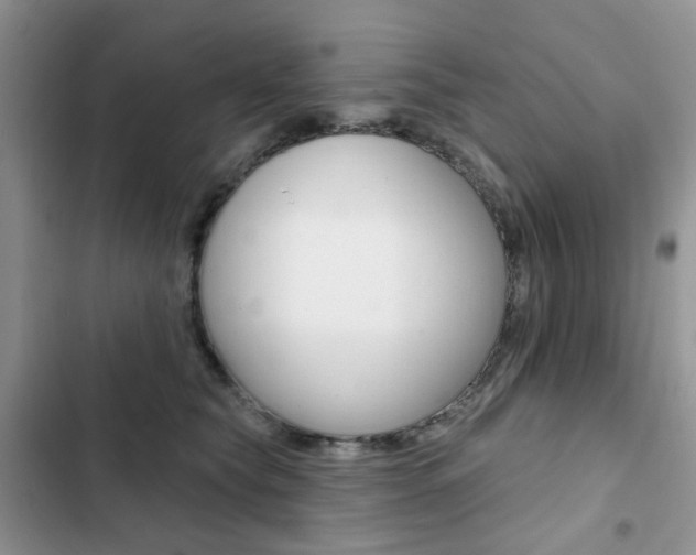 X0000102830565200808181051