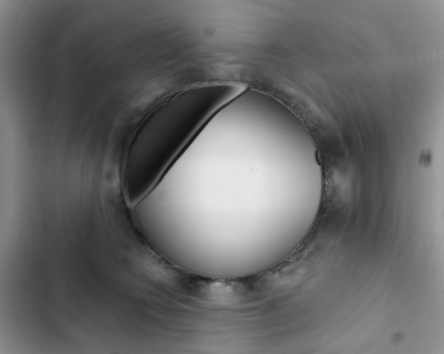 X0000102830566200808181051