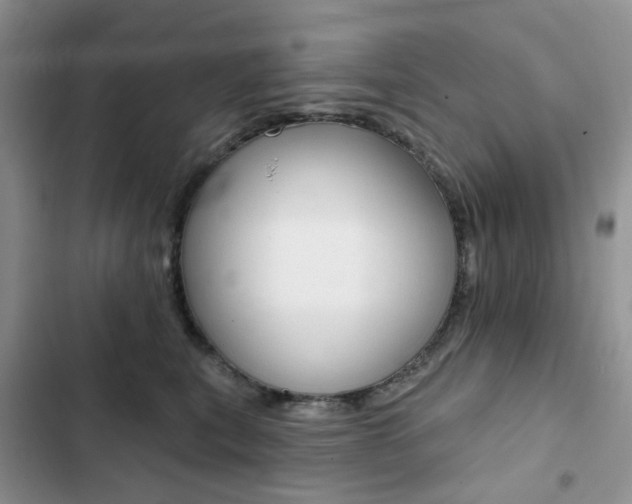 X0000102830567200808181051